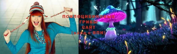 МДМА Бородино