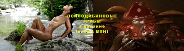 МДМА Бородино